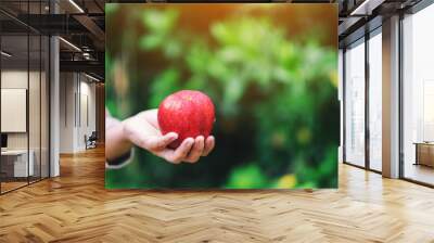 A woman holding a fresh red apple in hand Wall mural