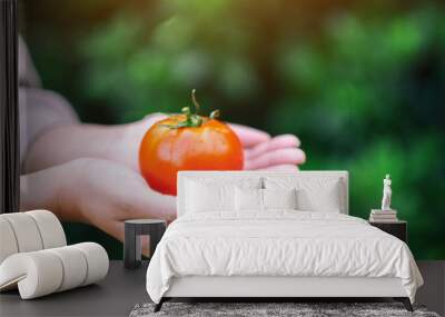 A woman holding a fresh tomato in hands Wall mural