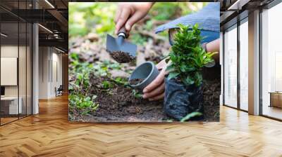 Closeup image of a woman preparing to replanting plant by use a shovel to scoop soil into the pot for home gardening concept Wall mural