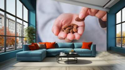 Closeup image of hands holding and picking up an almonds Wall mural