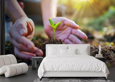 Closeup image of people holding and planting a small tree on pile of soil Wall mural