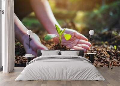 Closeup image of people holding and planting a small tree on pile of soil Wall mural