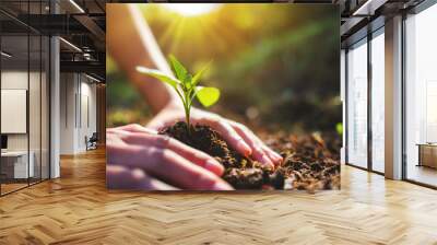 Closeup image of people preparing to grow a small tree with soil in the garden Wall mural