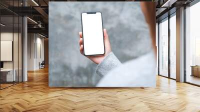 Mockup image of a woman holding mobile phone with blank white desktop screen in the outdoors Wall mural