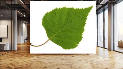 birch leaf Wall mural