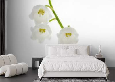 Lily of the valley isolated Wall mural