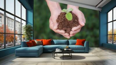 A man is holding a small plant in his hands on a green background. The plant is in the hands and surrounded by earth. The concept of environmental problems Wall mural