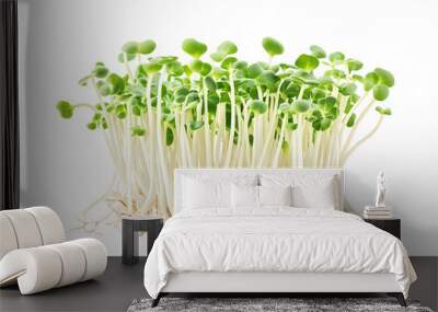 delicious bean sprouts isolated at transparent background Wall mural