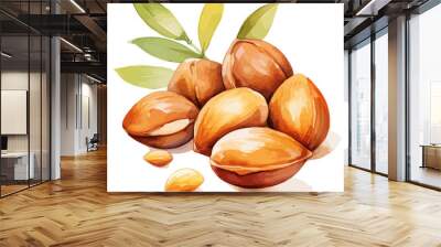 Watercolor drawing clipart of a Argan nut, isolated on a white background, Illustration painting, Argan nut vector, drawing, design art, clipart image, Graphic logo Wall mural