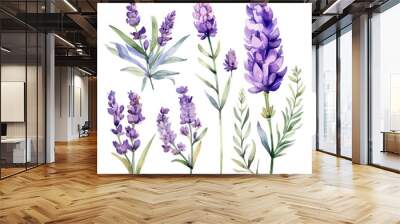 Watercolor Drawing Vector of a Collection lavender flower purple, isolated on a white background, Painting Illustration, Graphic clipart. Wall mural