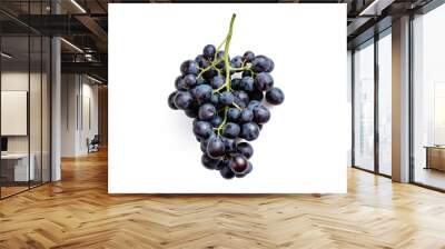 Bunch of dark organic ripe grapes on white background. Organic purple grape with fresh green vine, isolated on white with clipping path. Top view or flat lay Wall mural