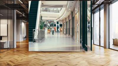 interior of modern shopping mall building. Shallow DOF Wall mural