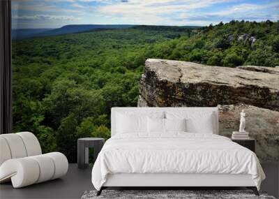 massive rocks and view to the valley at minnewaska state park reserve upstate ny during summer time Wall mural