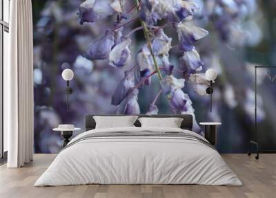 lilac closeup with flowers in the background with bokeh effect Wall mural