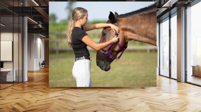 Fastening a halter onto a horse. Wall mural