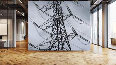 power lines in the morning Wall mural