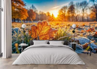 Autumn morning, first light frosts, melting frost on autumn grass and fallen leaves Wall mural