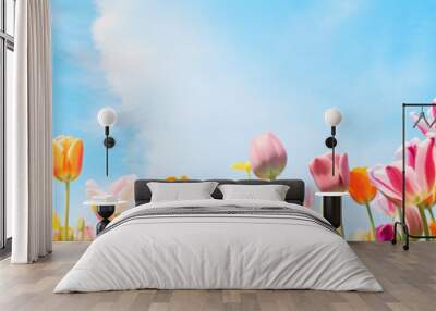 A field of tulips on a bright sunny day Wall mural