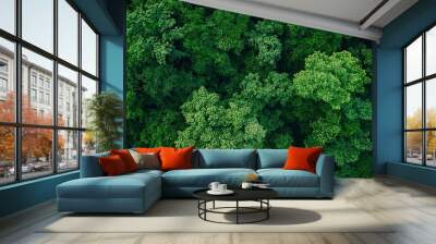 Aerial view of nature green forest and tree. Forest ecosystem and health concept and background, generative ai Wall mural