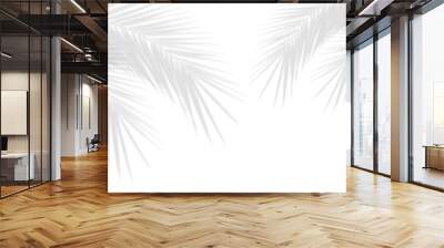 Realistic shadow overlay effect. Natural palm leaf shadows isolated on transparent background. Coconut Leaf, foliage branch silhouette decoration. Design element object for Summer Wall mural