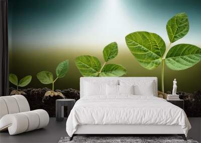 sprout in the ground, plant growing in soil, plant growing from ground, Soybean growth is gradual. Phases of development of leguminous plants. Cycle of growing, system in the field Wall mural