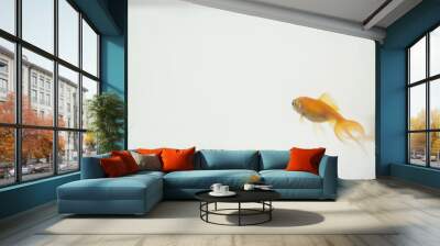 goldfish aquarium Wall mural