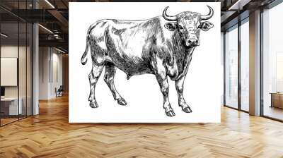 Black and white bull, hand drawn ink illustration, domestic farm animal, engraved drawing, ink art created with generative AI, transparent background Wall mural