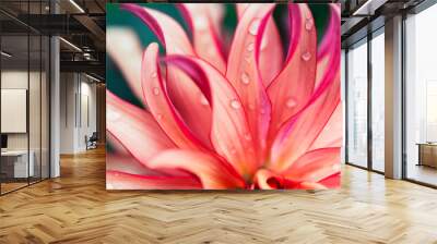 Pink Flower Macro Wall mural