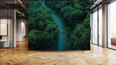 Aerial top view of a wooded road with motion blur from an automobile. twisted path through the woods. On the road between the green trees, cars travel. Road tour on ecosystem ecology Wall mural