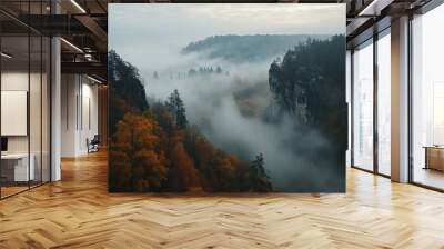 Saxon Switzerland in the misty autumn mood
 Wall mural