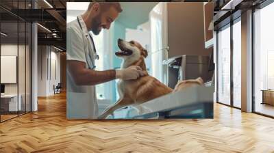 Commercial image of a pet clinic featuring a caring vet attending to a happy pet, highlighting the professional and compassionate care in a modern clinic setting Wall mural