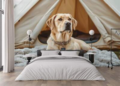 Dog lounging on a fluffy blanket inside a beautifully decorated glamping tent, glamping with your pet, serene and stylish Wall mural