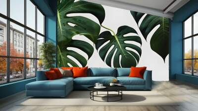 Horizontal artwork composition of trendy tropical green leaves - monstera, palm and ficus elastica isolated on white background (computer rendered). Generative AI Wall mural