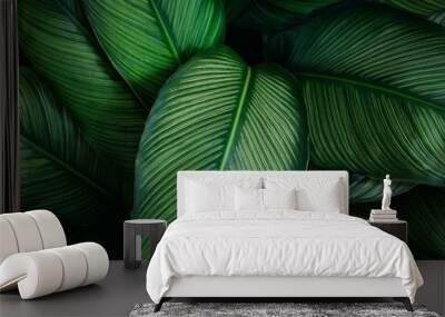 closeup tropical green leaves texture and dark tone process, abstract nature pattern background Wall mural