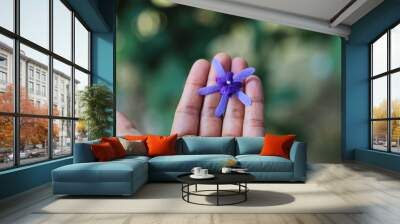 Close up of a brown hand holding a small and uncommon and unique shaped purple or violet flower in nature with space to write your text  Wall mural