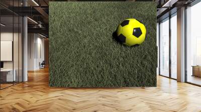 soccer ball Wall mural