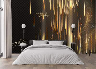 Motion light transparent effect. Beams, soft light, fire and fireworks. Wall mural