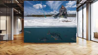 Winter fishing background. Fisherman in action. Catching perch fish from snowy ice at lake above troop of fish. Double view under and above water Wall mural