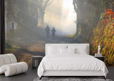 Couple is walking in the foggy forest in the morning sun Wall mural