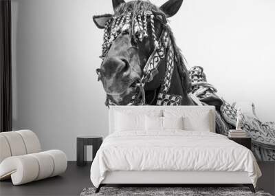 arabic horse Wall mural