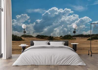 dune landscape with blue sky and clouds on a sunny day Wall mural