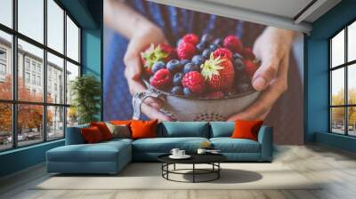 Organic fresh harvested berries. Hands holding fresh juicy berries, closeup Wall mural