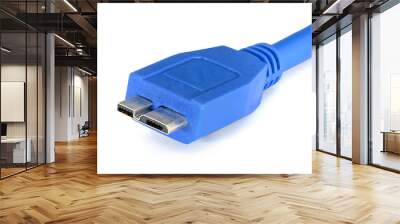 Usb 3.0 blue cable with micro B connectoris on white Wall mural