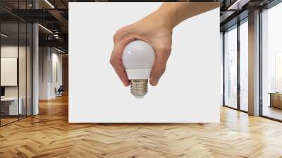 Hand holding a light bulb shape isolated on white background Wall mural