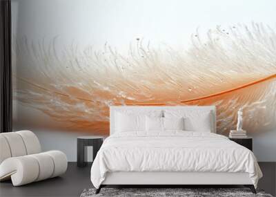 A delicate feather with a soft, fluffy texture, showcasing nature's elegance and beauty in neutral tones. Wall mural