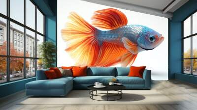 A vibrant, flowing betta fish with striking colors showcasing its long fins in a graceful manner against a clean background. Wall mural