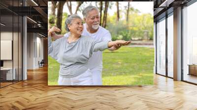 Asian senior couple practice yoga excercise, tai chi tranining, stretching and meditation together with relaxation for healthy in park outdoor after retirement. Happy elderly outdoor lifestyle concept Wall mural