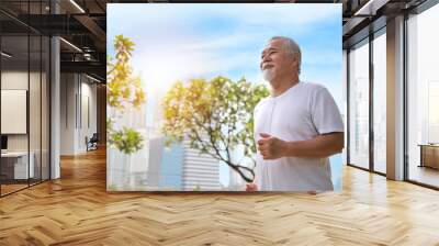 Happy and smiling asian senior man doing exercise and jogging or walking with relaxation for healthy in park outdoor after retirement during summer time. Health care elderly outdoor lifestyle concept. Wall mural