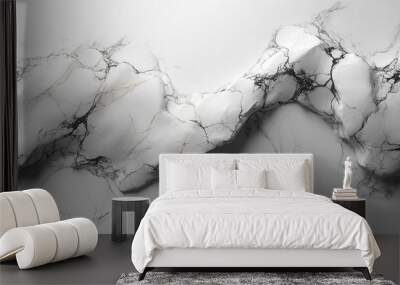 3d rendering abstract artificial marble stone texture creative map background trendy black white gol3d wallpaper Wall mural