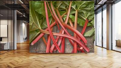 Rhubarb Wall mural